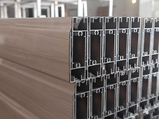 Zuid-Afrika Aluminium-extrusie-vensterprofielen